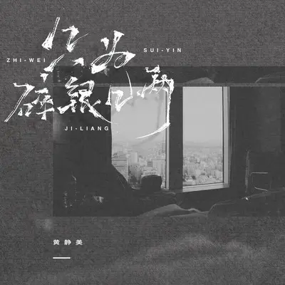 只为碎银几两封面