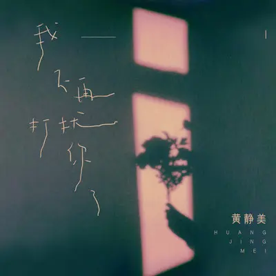 我不再打扰你了（DJEva版）封面