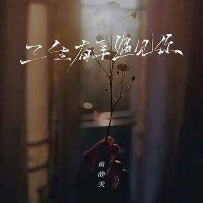 三生有幸遇见你封面