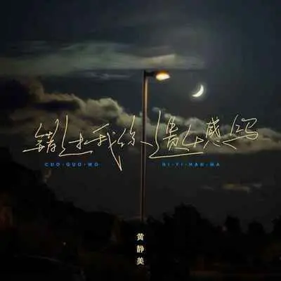 错过我你遗憾吗封面
