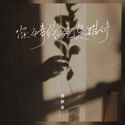 深情终究是错付封面