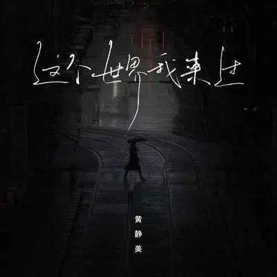 这个世界我来过封面