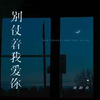 别仗着我爱你封面