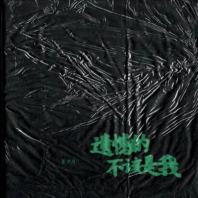 遗憾的不该是我(伴奏)封面