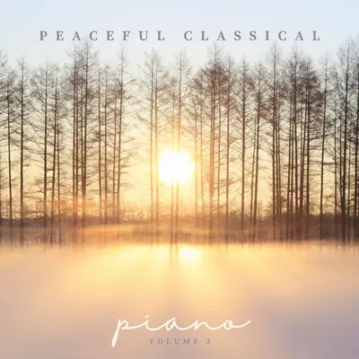 Concerto for Piano No. 3 in D Minor, Op. 30 - II. Intermezzo - Adagio (D小调第3号钢琴协奏曲，作品30 - 第二乐章 间奏曲 - 柔板) (Live)封面
