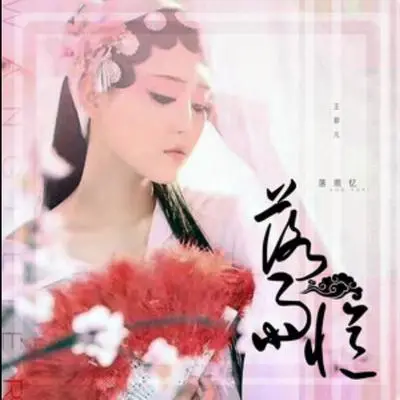 落雨忆(伴奏) - 王菲儿封面
