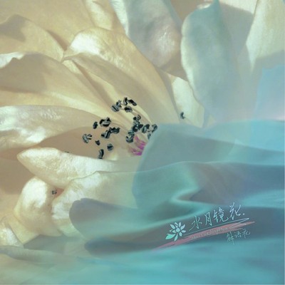 水月镜花 - 解语花封面
