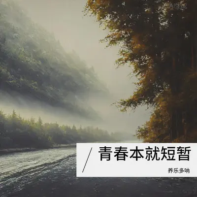 雪Distance (DJ版)封面