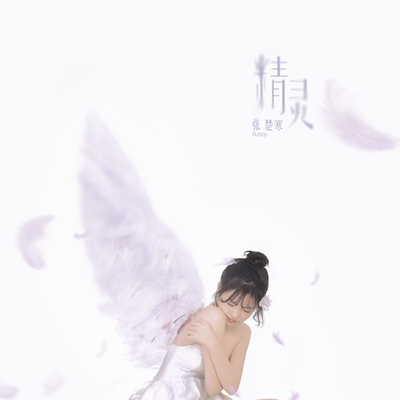 精灵（Genie）封面