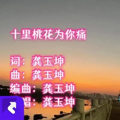 十里桃花为你痛(新版)(现场)封面