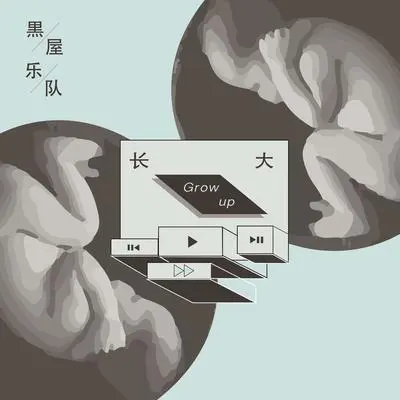 迷途封面