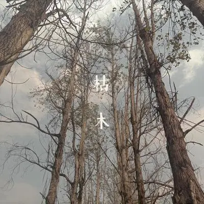 幽径山封面
