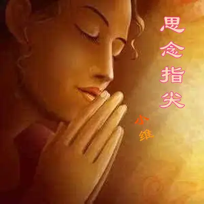 不要再来骗我封面