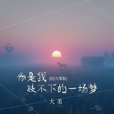 你是我放不下的一场梦(DJ九零版)封面