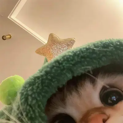 今天有你陪我一起过封面