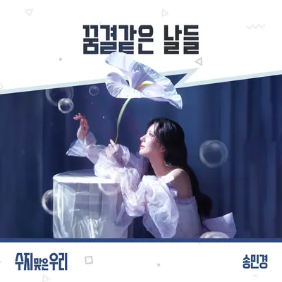 꿈결같은 날들封面