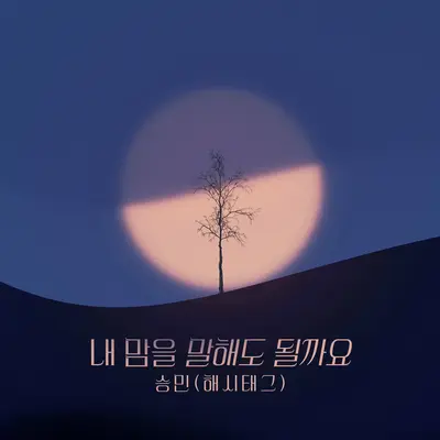 내 맘을 말해도 될까요封面