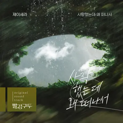 사랑했는데 왜 떠나서封面