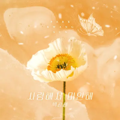 사랑해서 미안해封面
