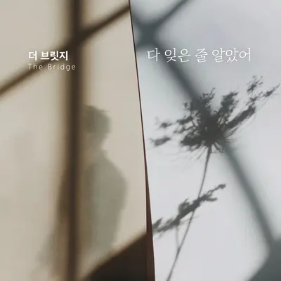 다 잊은 줄 알았어 - The Bridge封面