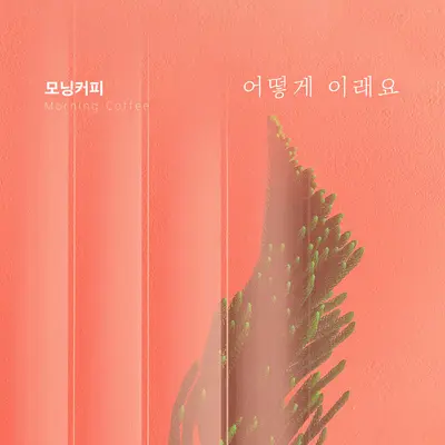 어떻게 이래요封面