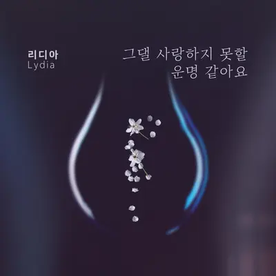 그댈 사랑하지 못할 운명 같아요封面