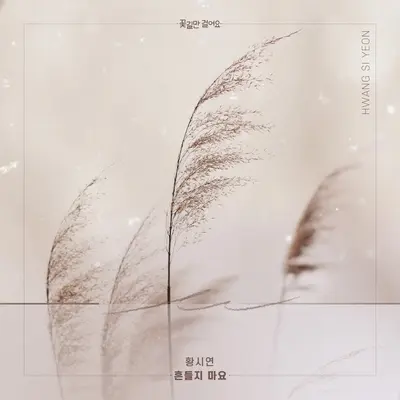 흔들지 마요封面