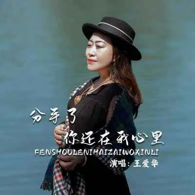 分手了你还在我心里(完整版) - 王爱华封面