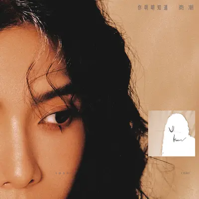 随缘玩家(伴奏) - 商潮封面