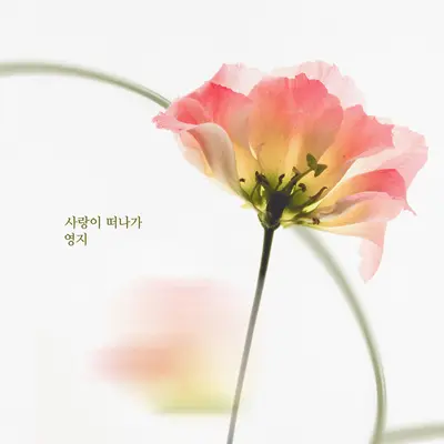 사랑이 날 떠나가封面