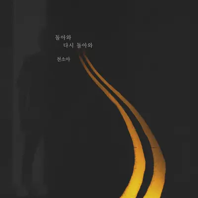 돌아와 다시 돌아와封面