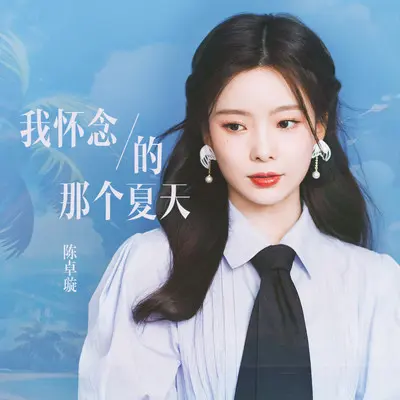 我怀念的那个夏天封面