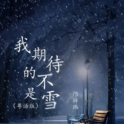 我期待的不是雪封面