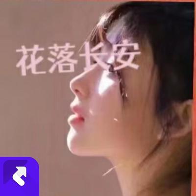 花落长安 - 龚玉坤 / 杨曦封面