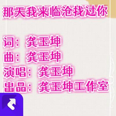 那天我来临沧找过你(伴奏版)(现场)封面