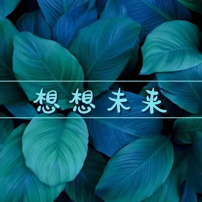 花瓣封面