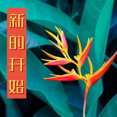 休息封面