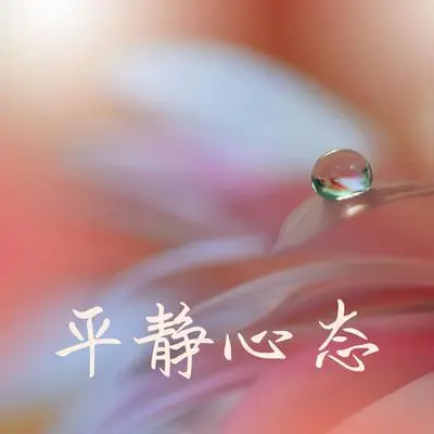 莲花封面