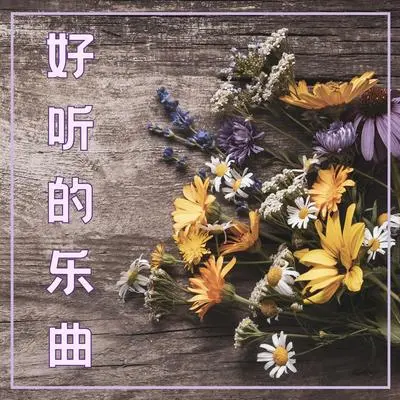 好听的乐曲封面
