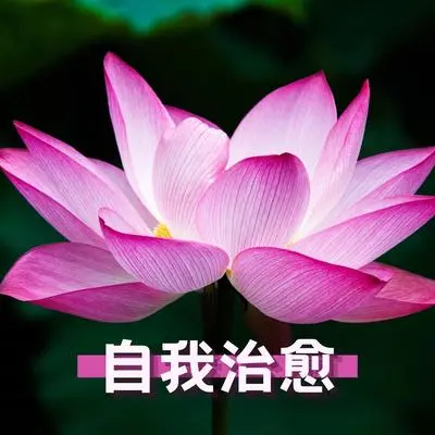 珍贵的时刻封面
