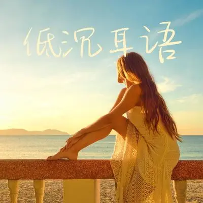西塔尔封面