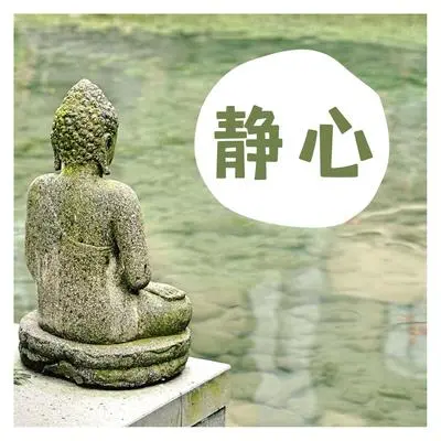 花园封面