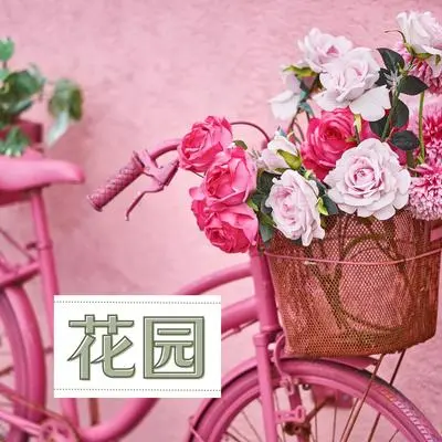 日落封面