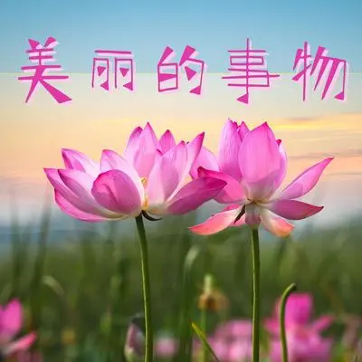 精神治疗封面