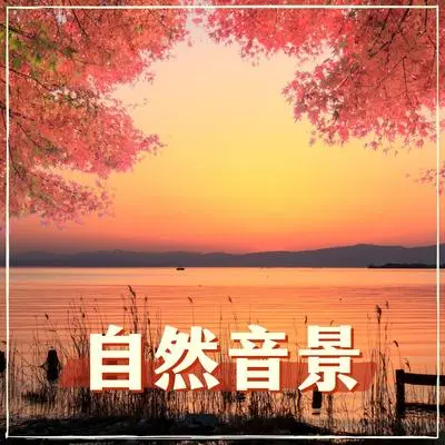 晨曦封面