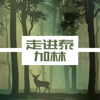 沉浸式森林浴封面