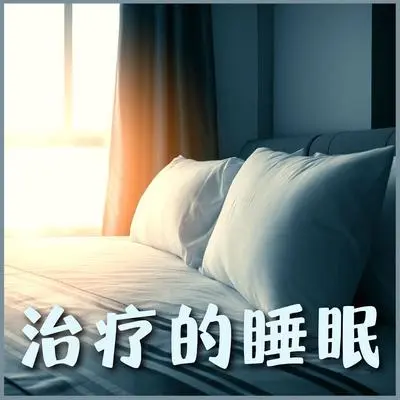 雨林封面
