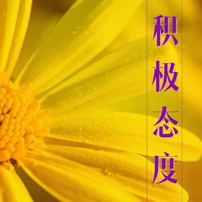 精神 - 下午茶封面
