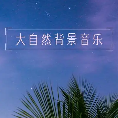 夏夜封面