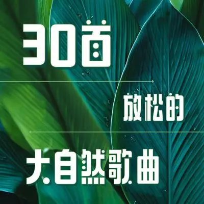 麻雀 - 大自然之声封面
